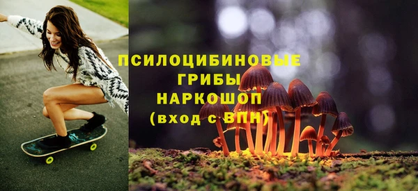 дмт Няндома