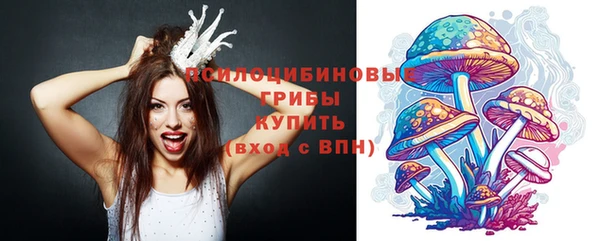 дмт Няндома