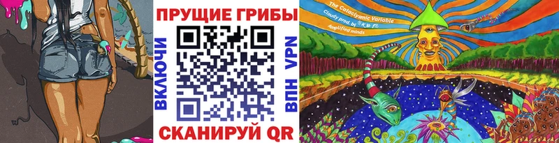 hydra ссылка  Спасск-Дальний  Галлюциногенные грибы Magic Shrooms 