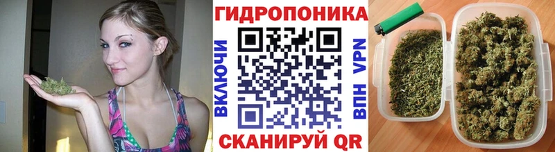 купить закладку  Спасск-Дальний  Конопля гибрид 